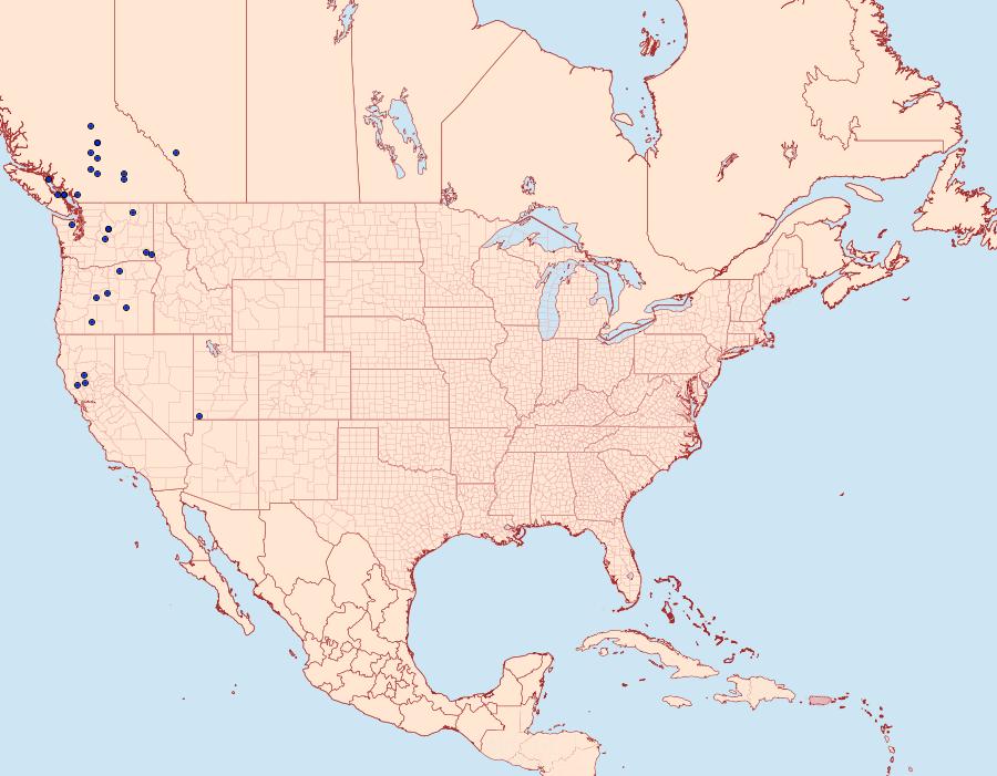 Distribution Data for Colias occidentalis
