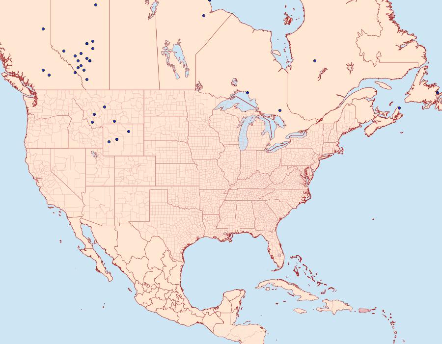 Distribution Data for Colias gigantea