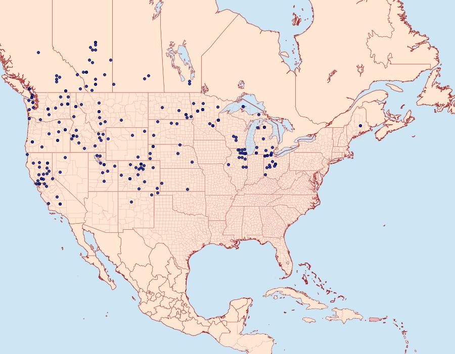 Distribution Data for Lycaena helloides
