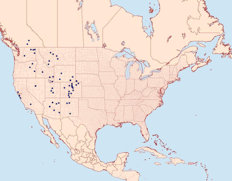 Distribution Data for Callophrys affinis