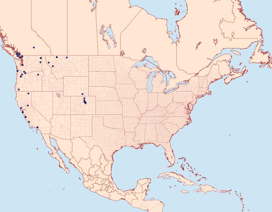 Distribution Data for Callophrys mossii