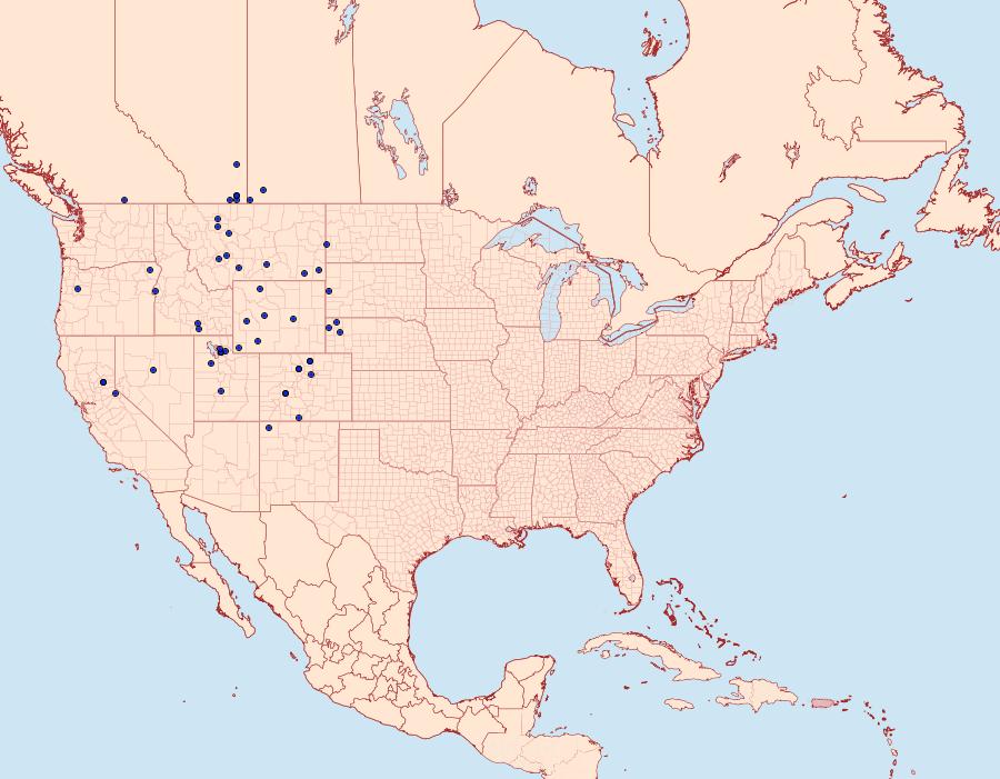 Distribution Data for Euphilotes ancilla