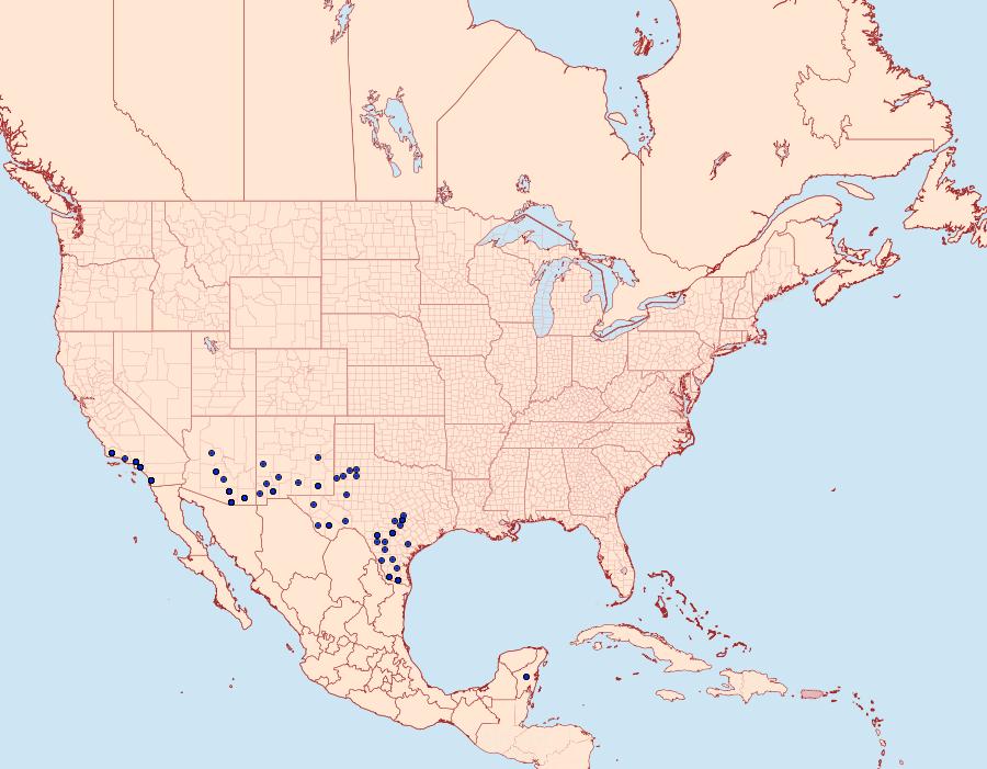 Distribution Data for Calephelis nemesis