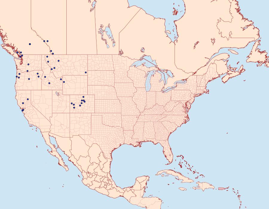Distribution Data for Polygonia oreas