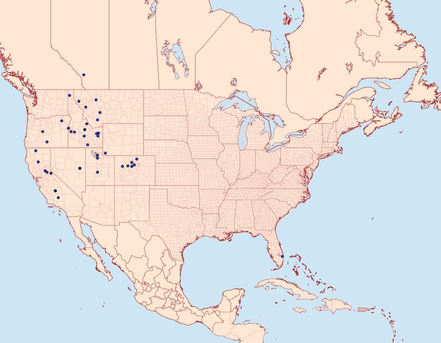 Distribution Data for Speyeria egleis