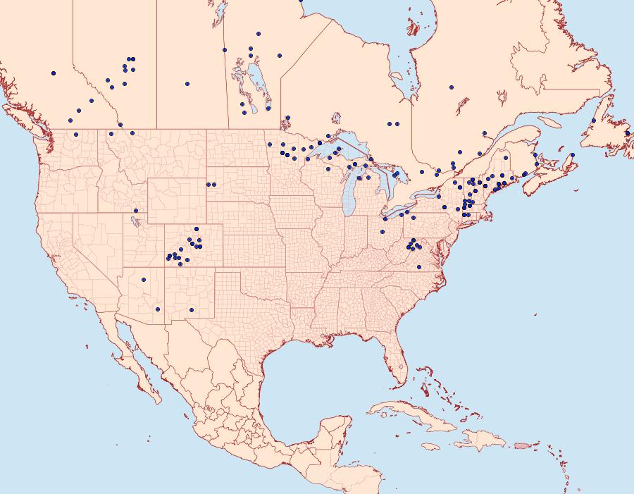 Distribution Data for Argynnis atlantis