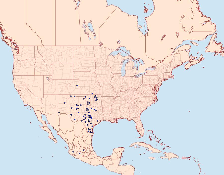 Distribution Data for Phyciodes graphica