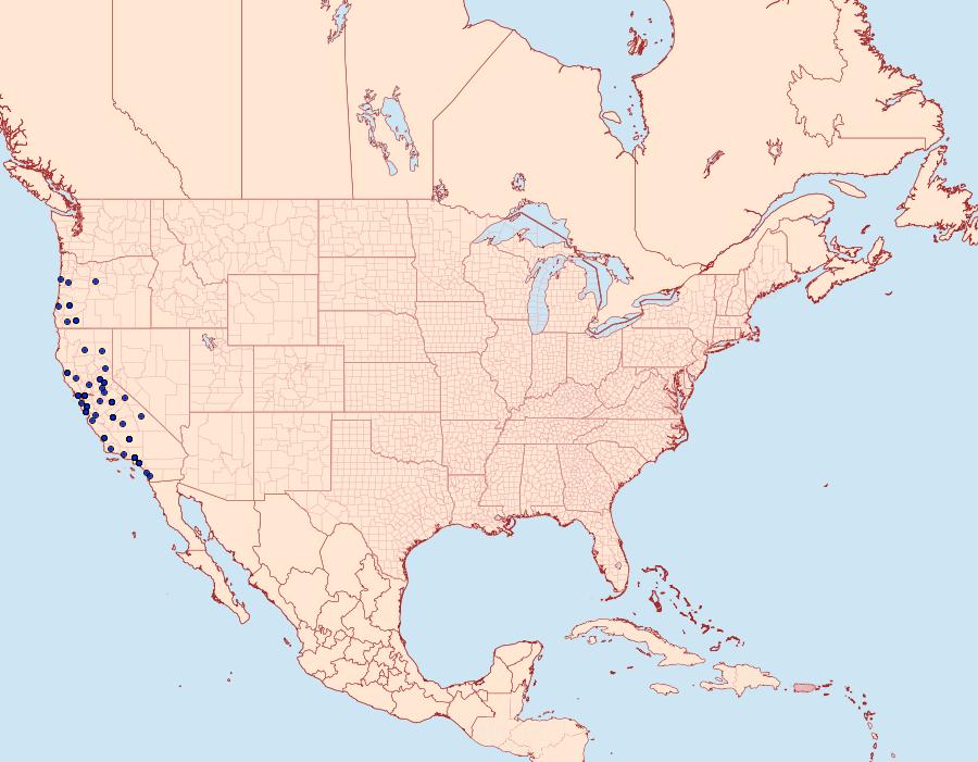 Distribution Data for Adelpha californica
