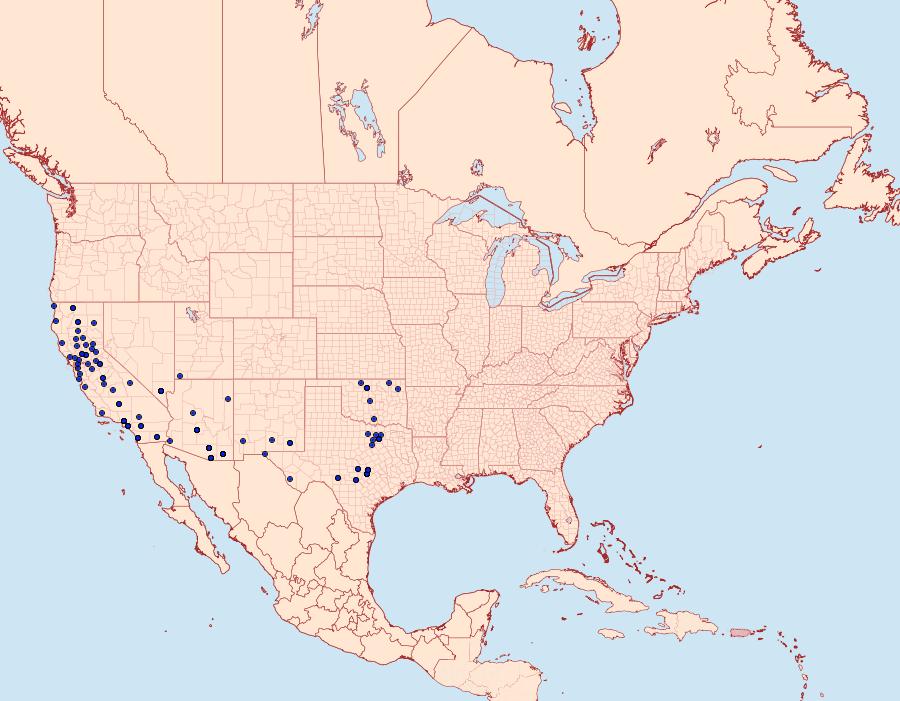Distribution Data for Petrophila jaliscalis