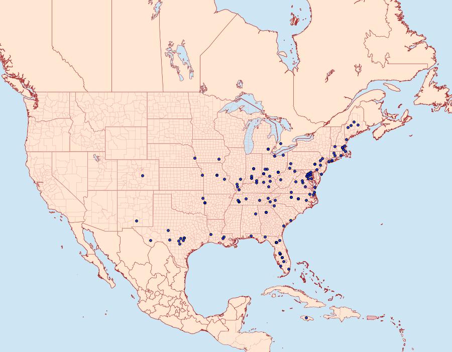 Distribution Data for Evergestis rimosalis