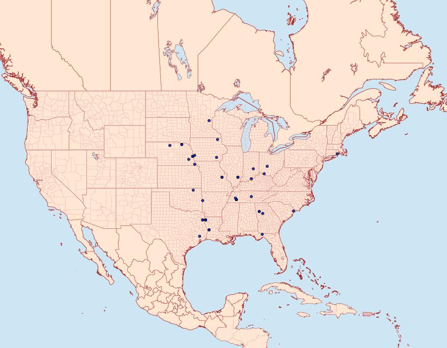 Distribution Data for Anania plectilis