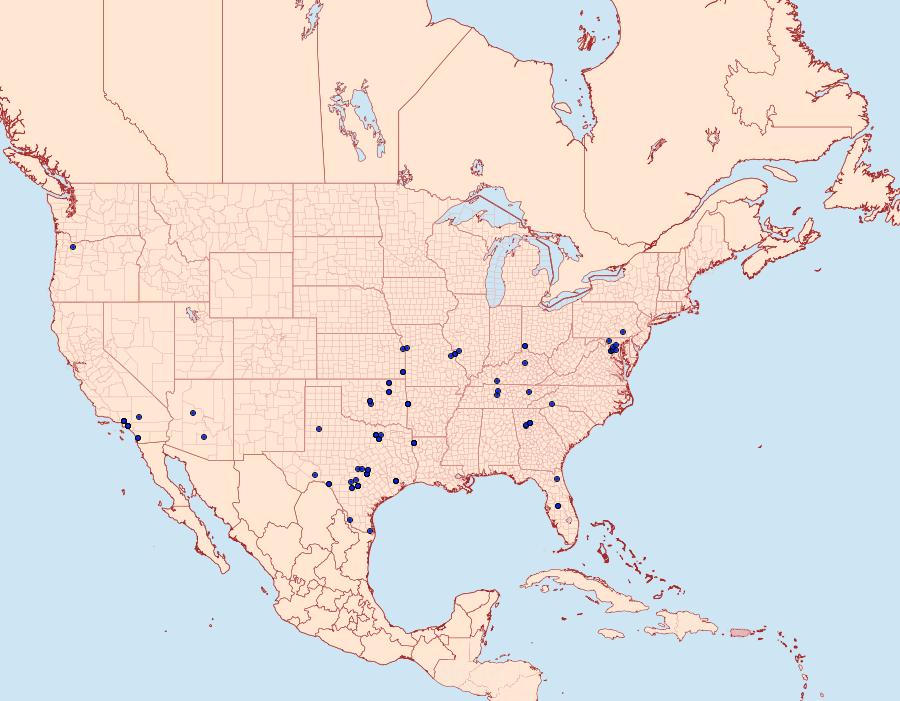 Distribution Data for Pyrausta inornatalis