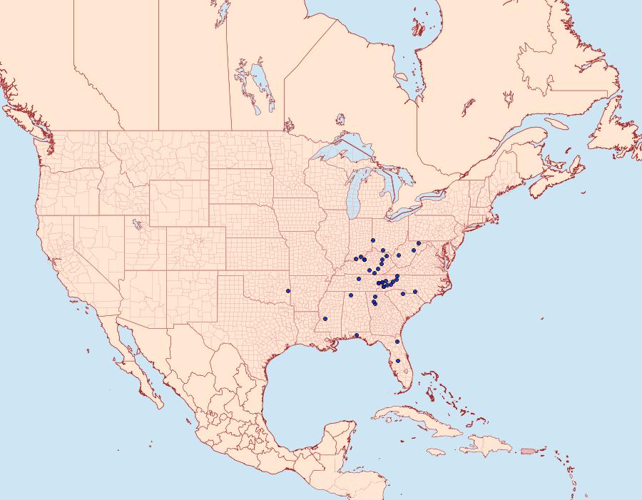 Distribution Data for Pyrausta homonymalis