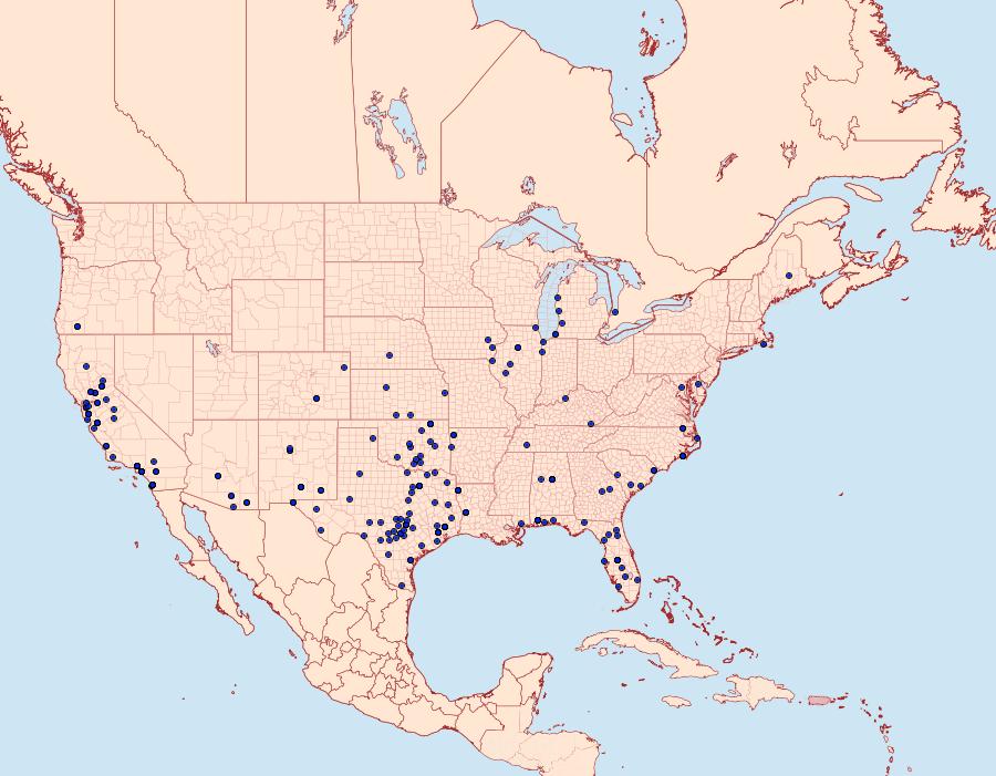 Distribution Data for Pyrausta laticlavia