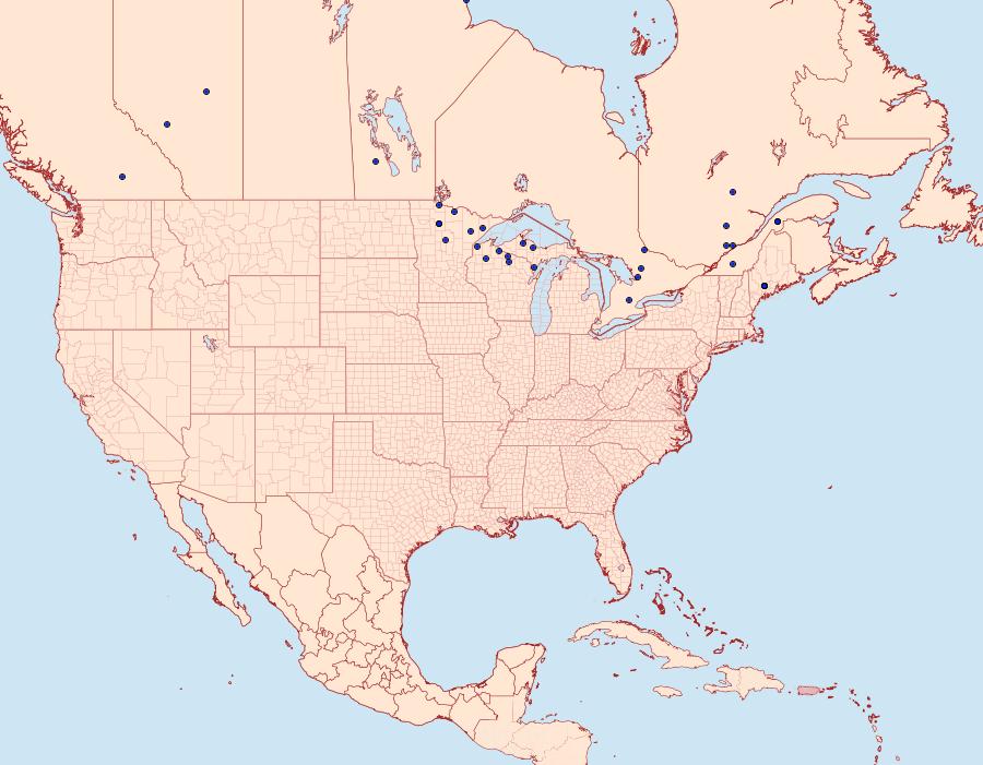 Distribution Data for Crambus alienellus