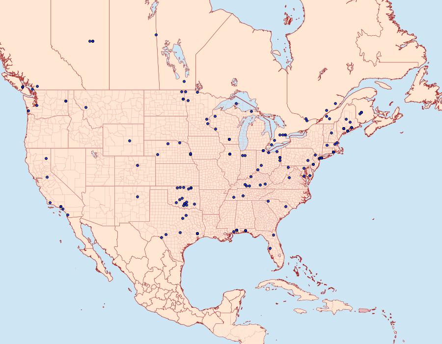 Distribution Data for Crambus leachellus