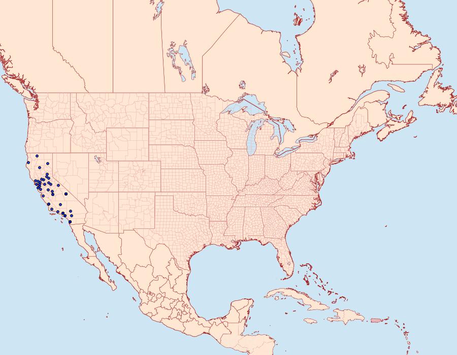 Distribution Data for Crambus sperryellus
