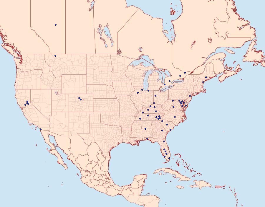 Distribution Data for Neodactria caliginosellus
