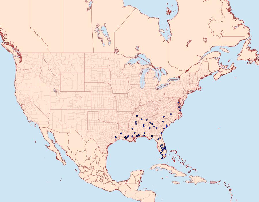 Distribution Data for Diatraea lisetta