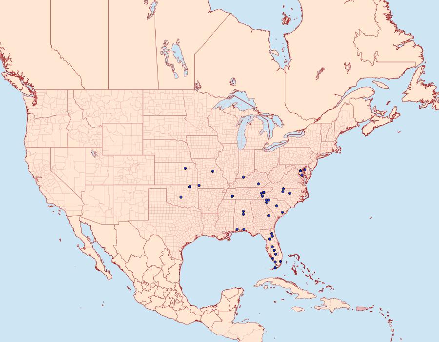 Distribution Data for Pococera scortealis