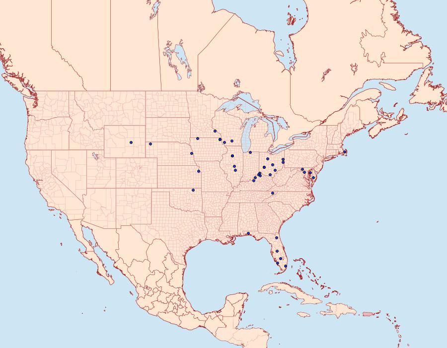 Distribution Data for Pococera baptisiella
