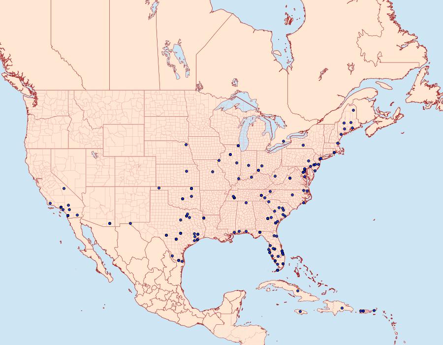 Distribution Data for Elasmopalpus lignosella