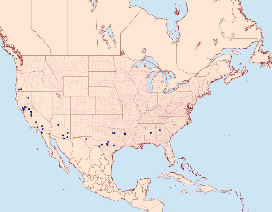 Distribution Data for Tacoma feriella