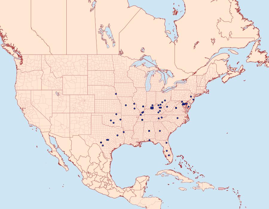 Distribution Data for Peoria longipalpella