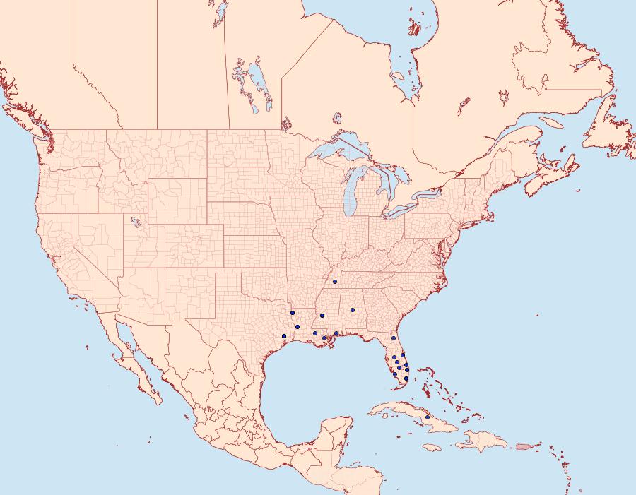 Distribution Data for Sphenarches anisodactylus