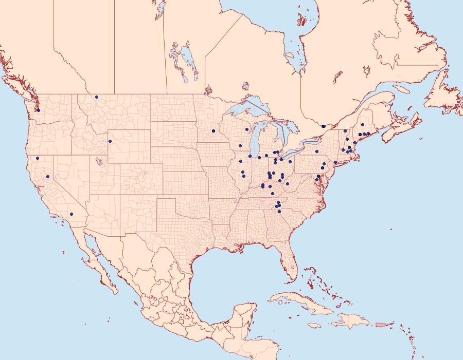 Distribution Data for Geina tenuidactylus