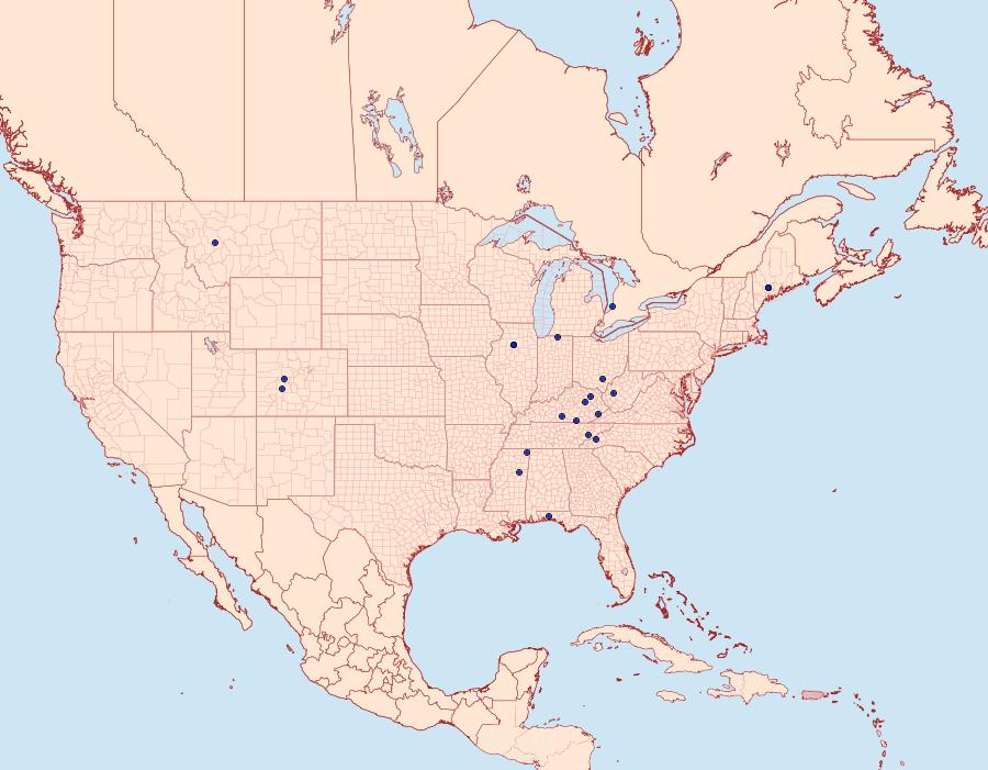 Distribution Data for Paraplatyptilia auriga