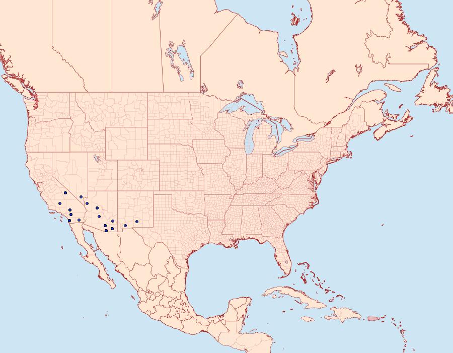 Distribution Data for Macaria metanemaria