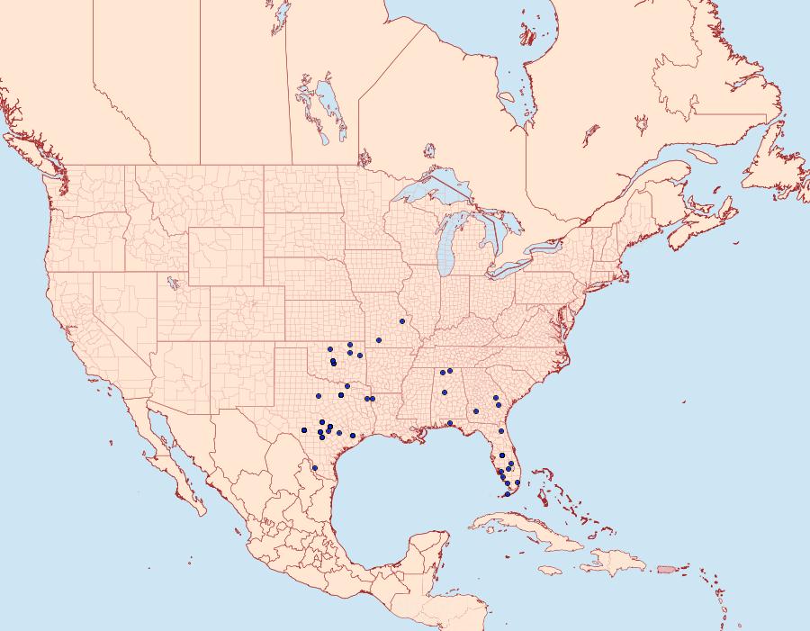 Distribution Data for Pimaphera sparsaria