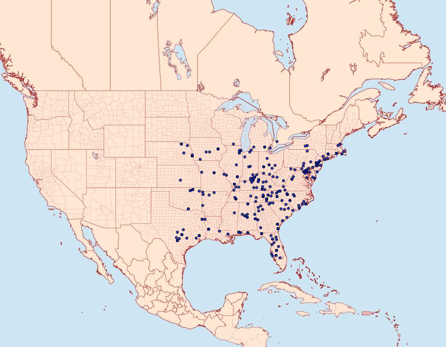 Distribution Data for Glenoides texanaria