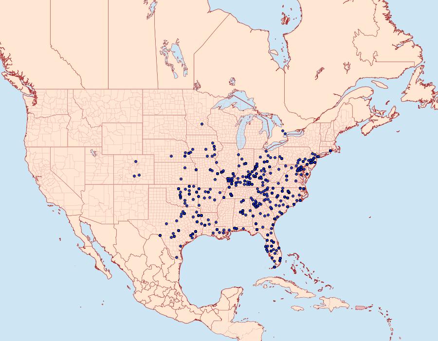 Distribution Data for Iridopsis defectaria