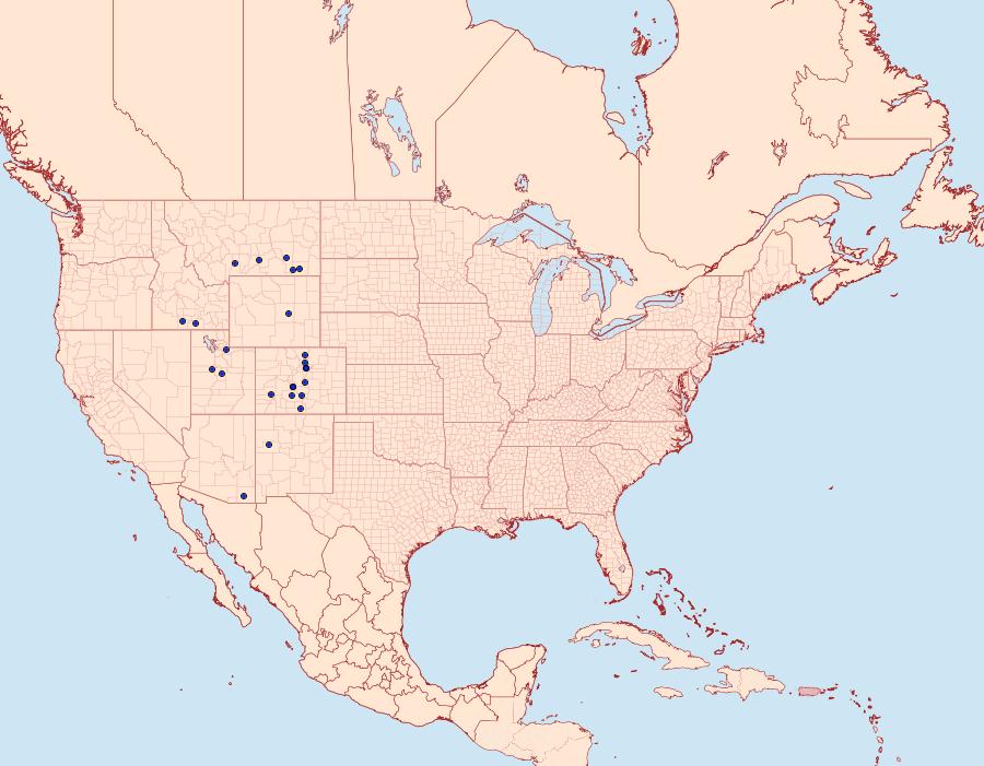 Distribution Data for Eriplatymetra coloradaria