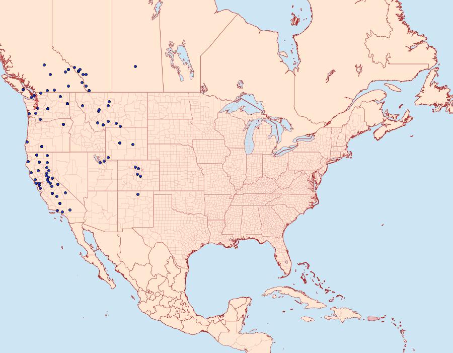 Distribution Data for Neoterpes trianguliferata