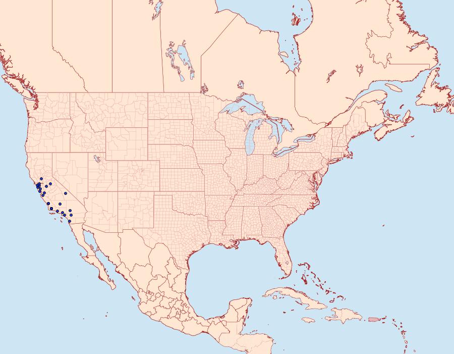 Distribution Data for Plataea californiaria