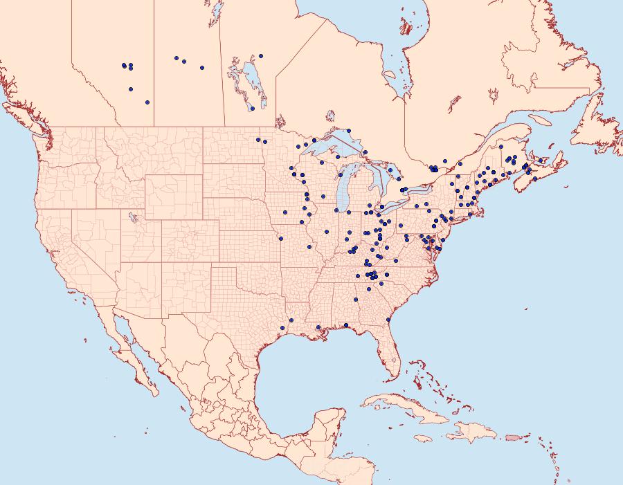 Distribution Data for Nemoria mimosaria