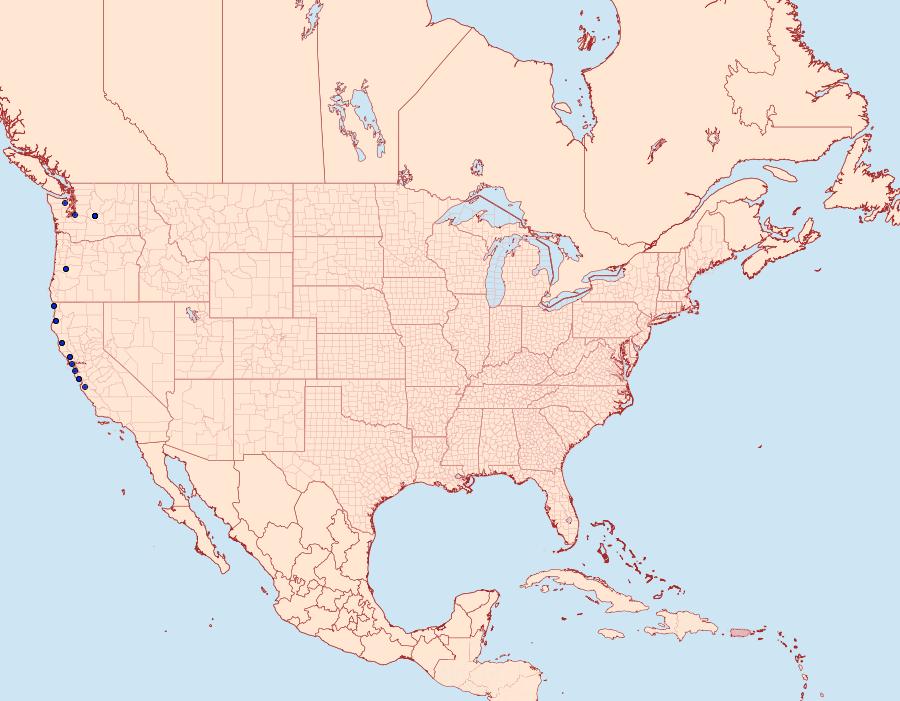Distribution Data for Trichodezia californiata