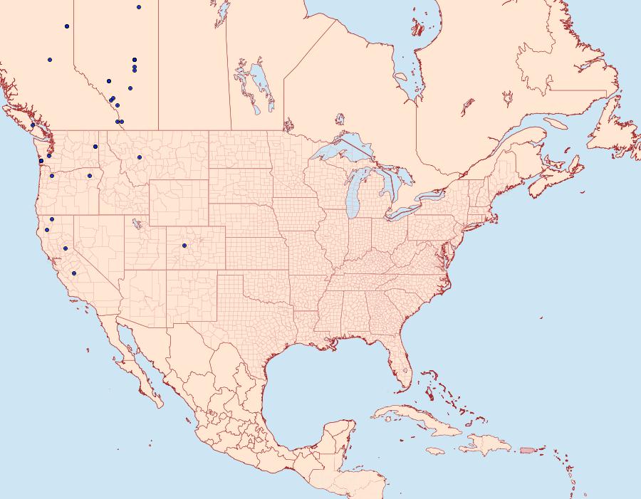 Distribution Data for Lobophora magnoliatoidata