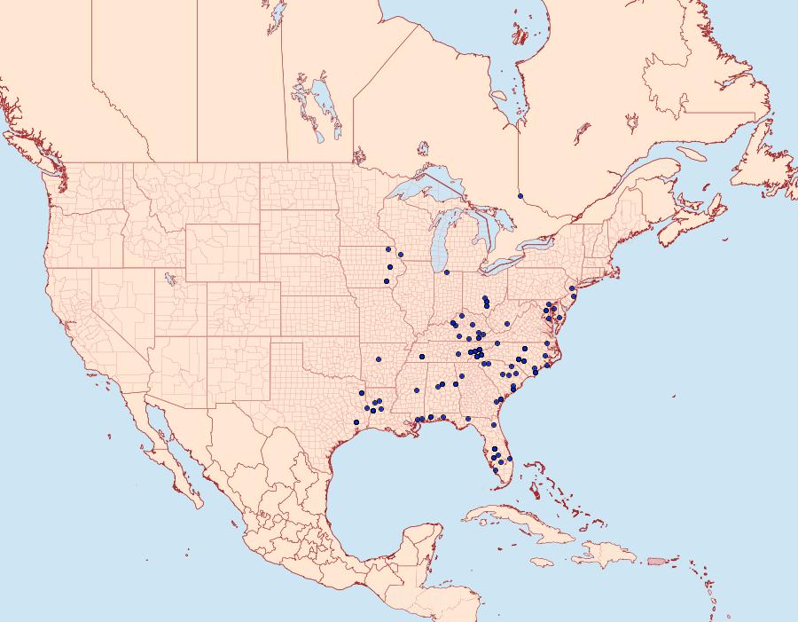 Distribution Data for Tolype notialis