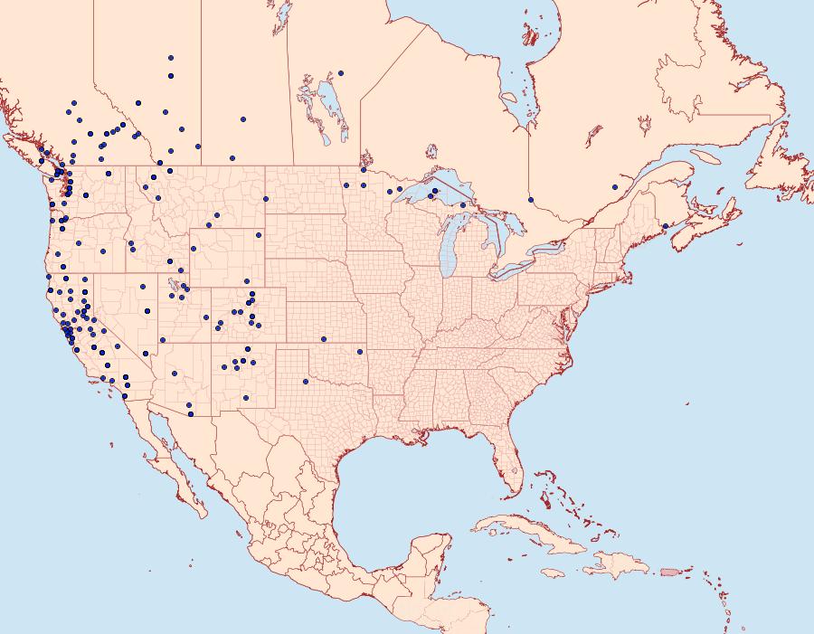 Distribution Data for Malacosoma californica