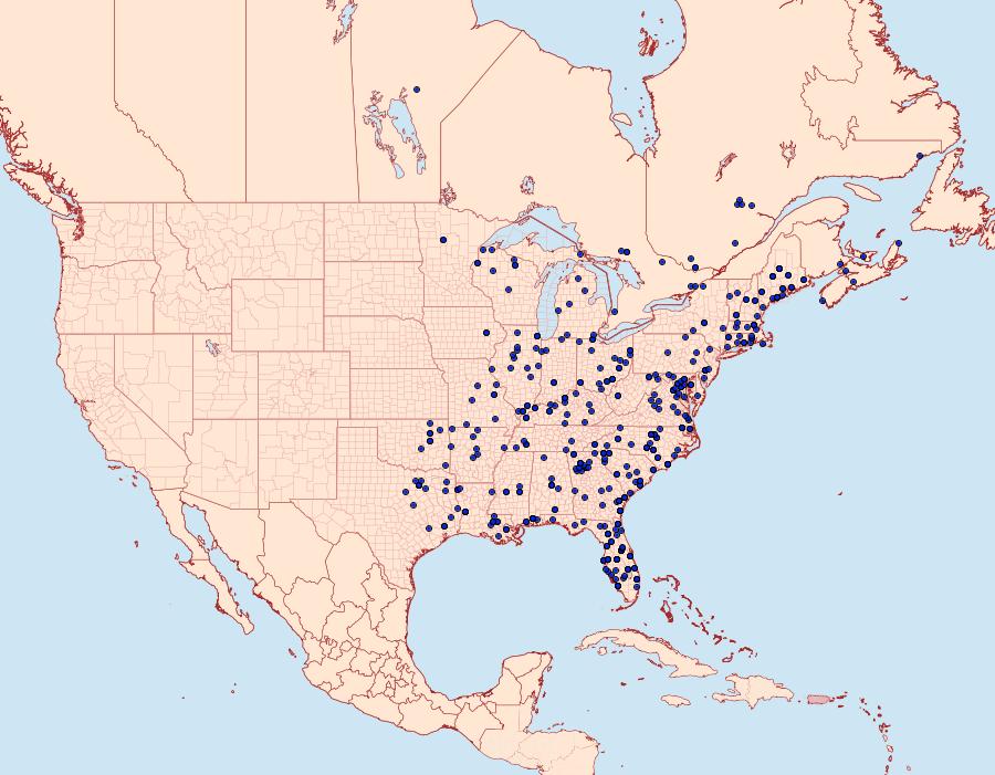 Distribution Data for Anisota virginiensis
