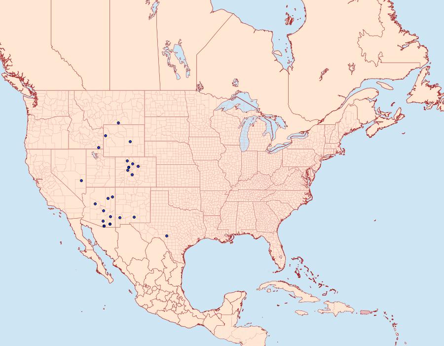 Distribution Data for Cecrita lunata