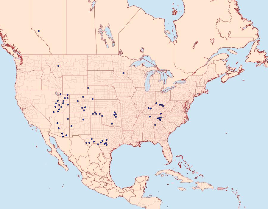 Distribution Data for Crambidia cephalica