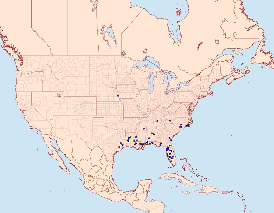 Distribution Data for Clemensia ochreata
