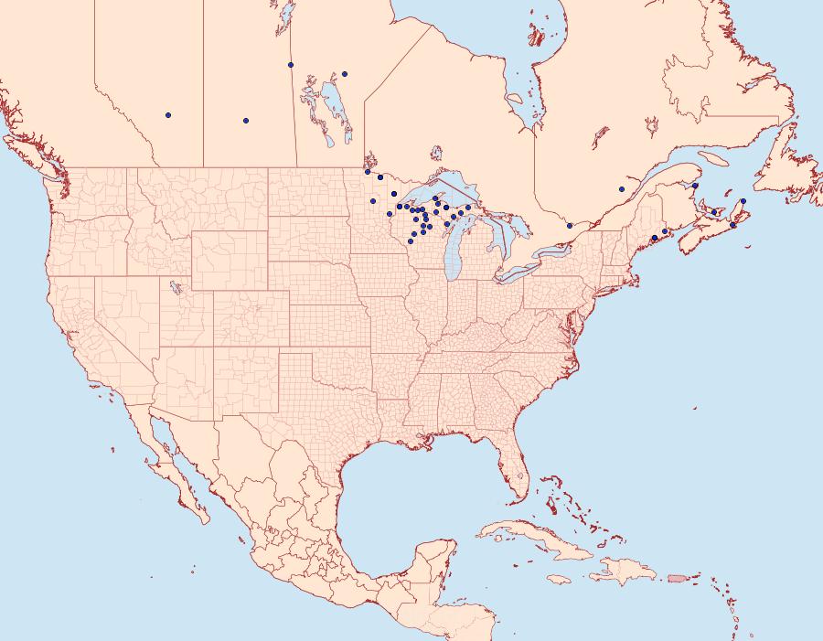 Distribution Data for Virbia lamae