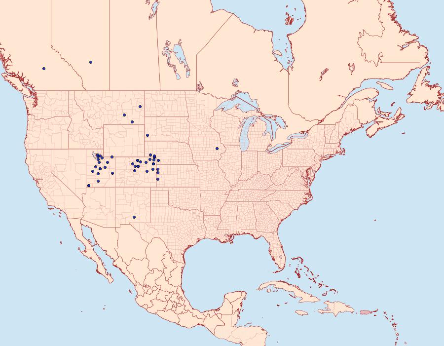 Distribution Data for Virbia fragilis