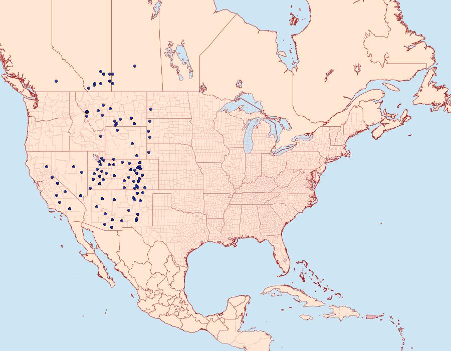 Distribution Data for Hypercompe permaculata